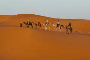 Best Unforgettable Things to Do in Merzouga - Things to Do in Merzouga