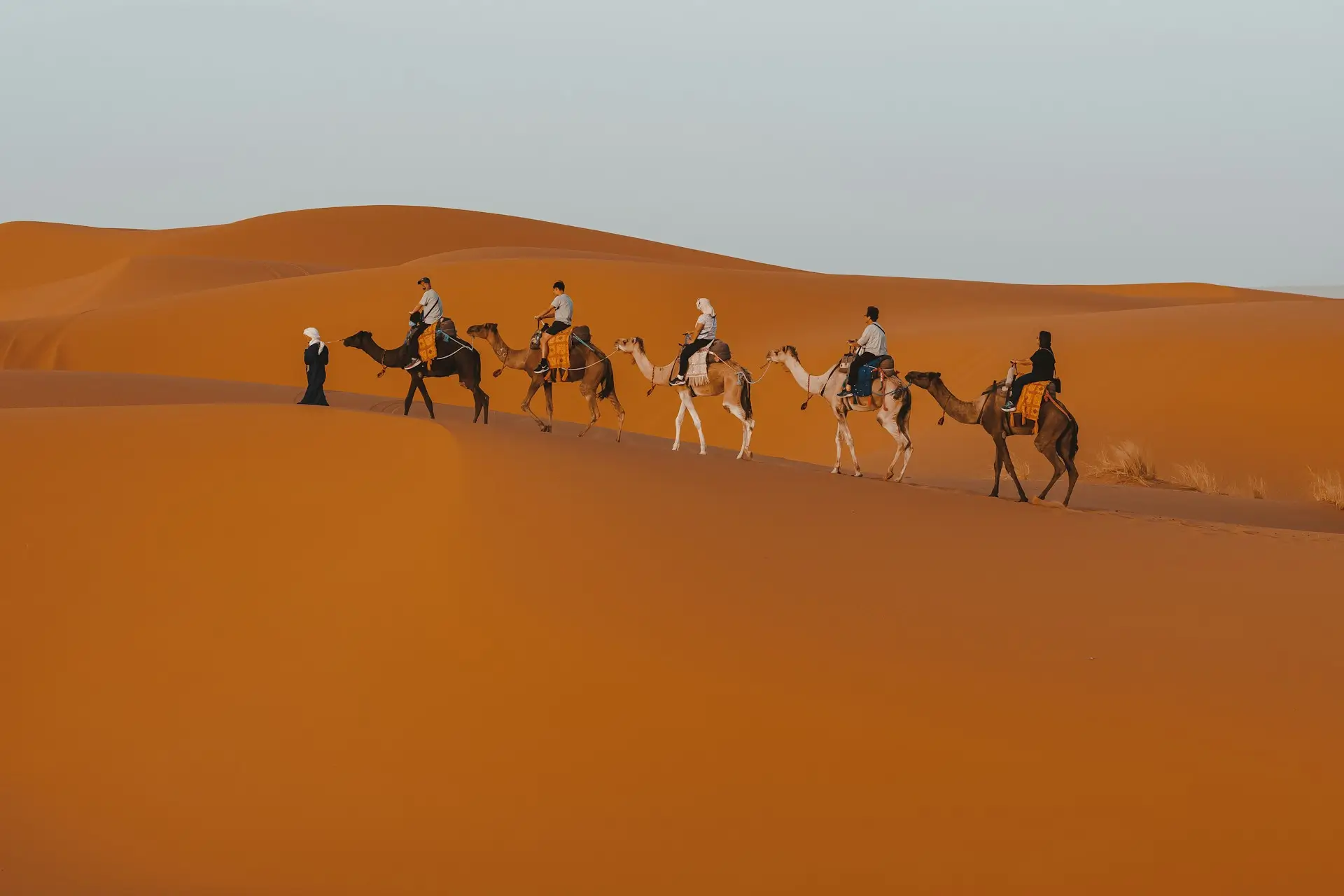Best Unforgettable Things to Do in Merzouga - Things to Do in Merzouga