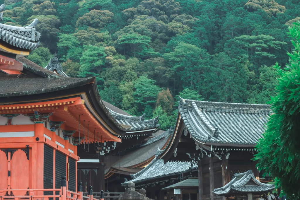 Kyoto in summer , what to do in Kyoto summer , Kyoto bamboo forest