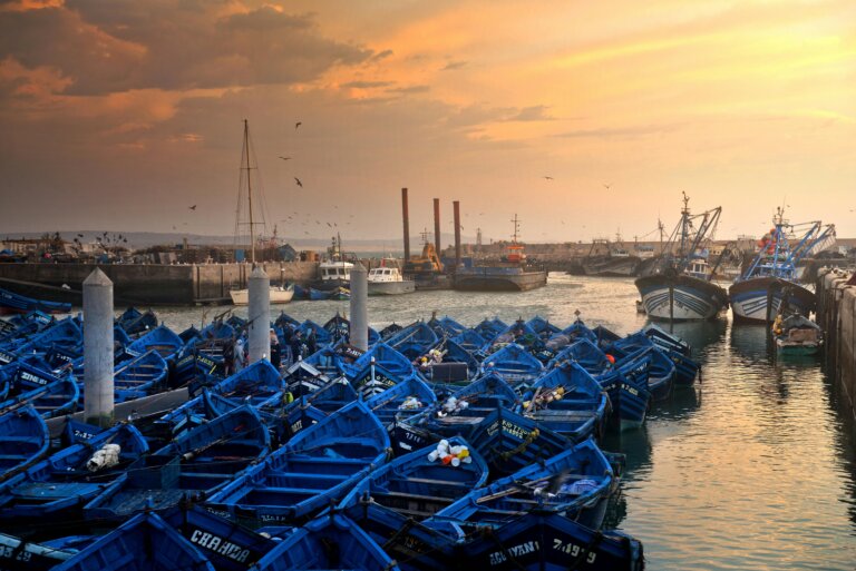 15 Best Things to Do in Essaouira